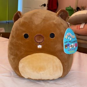 Gilbert the Groundhog squishmalllow